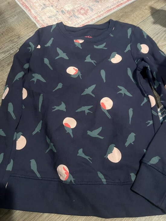 Boden Renee Crewneck Sweatshirt size XS - Picture 7 of 10